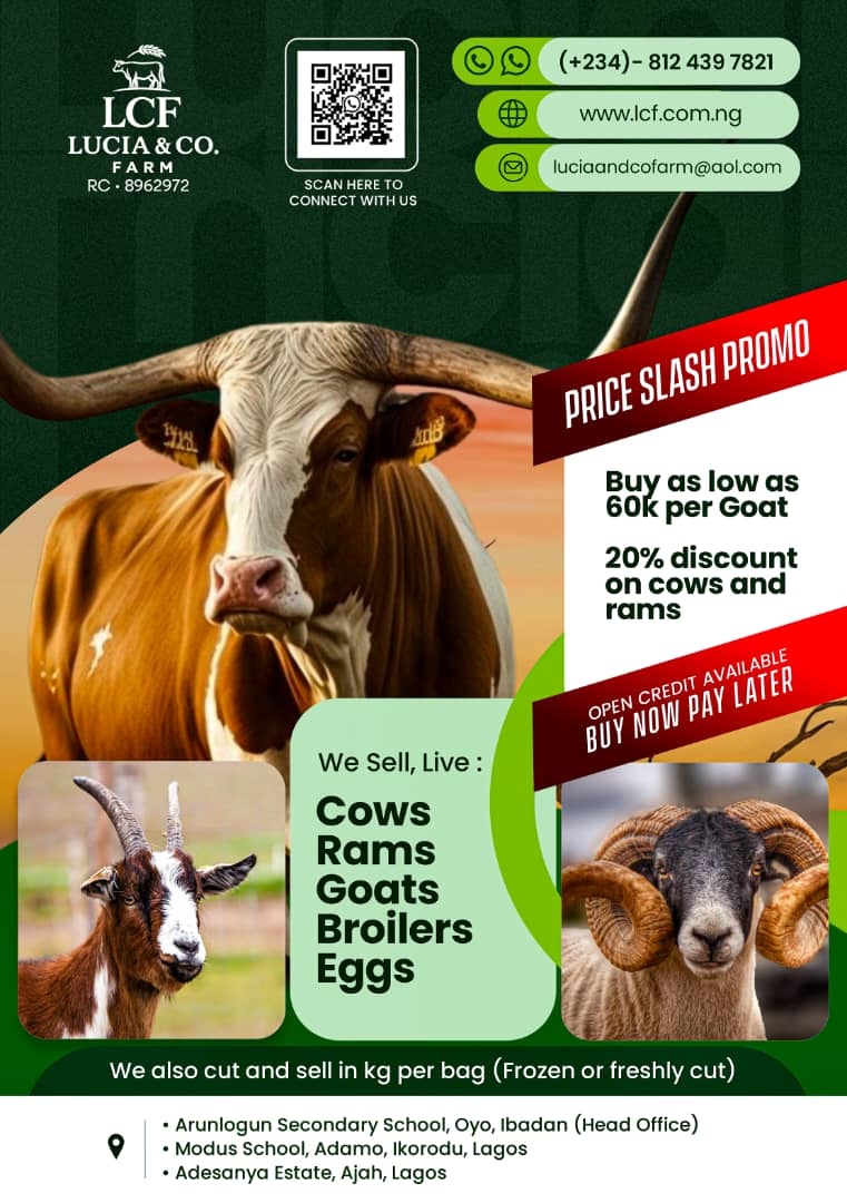 5ed0c03a-6f74-43a3-a83e-0a89dc1dc289