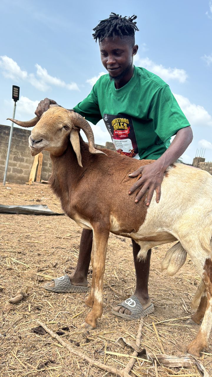 WhatsApp Image 2025-12-13 at 11.38.47 AM (1)